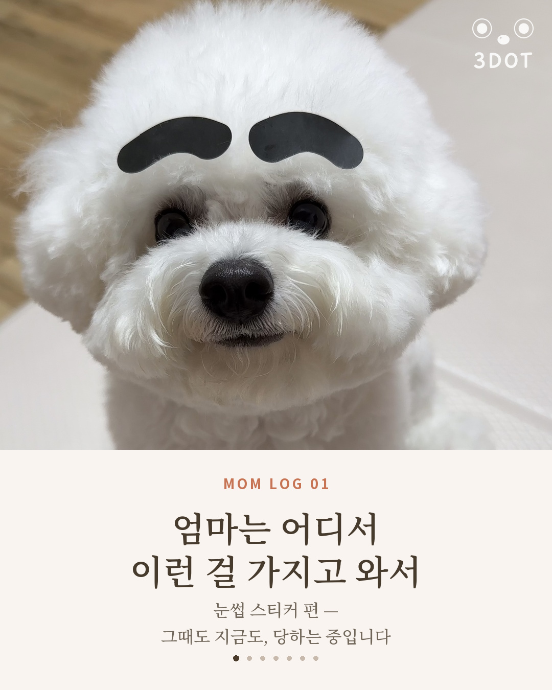 강아지 눈썹 스티커 — 아기 때도 지금도, 단추는 당하는 중