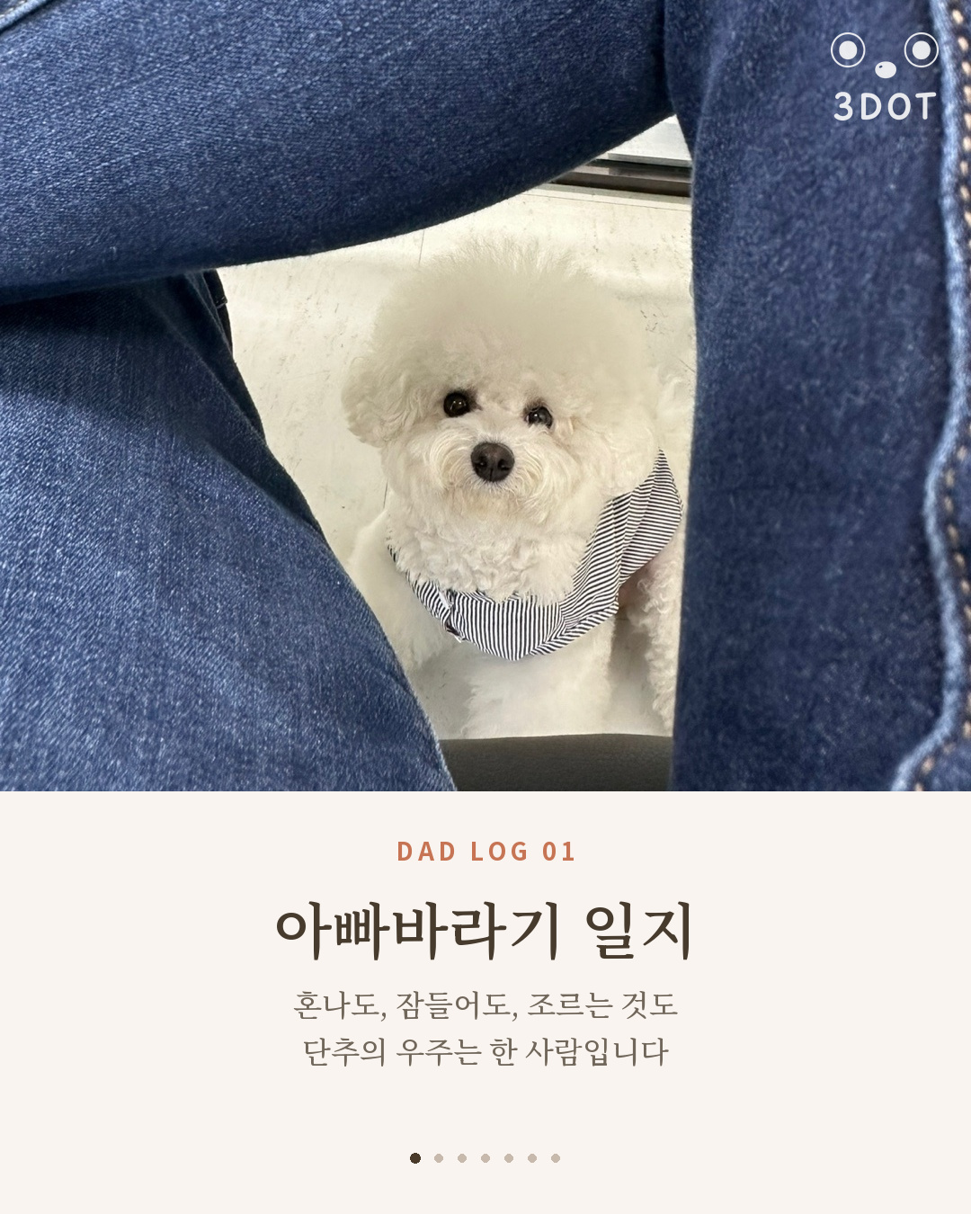 강아지 아빠만 좋아해?? 비숑 단추의 아빠바라기 일지