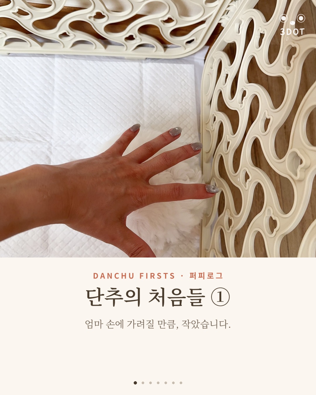 단추의 처음들 ① — 엄마 손에 가려질 만큼 작았던 날들