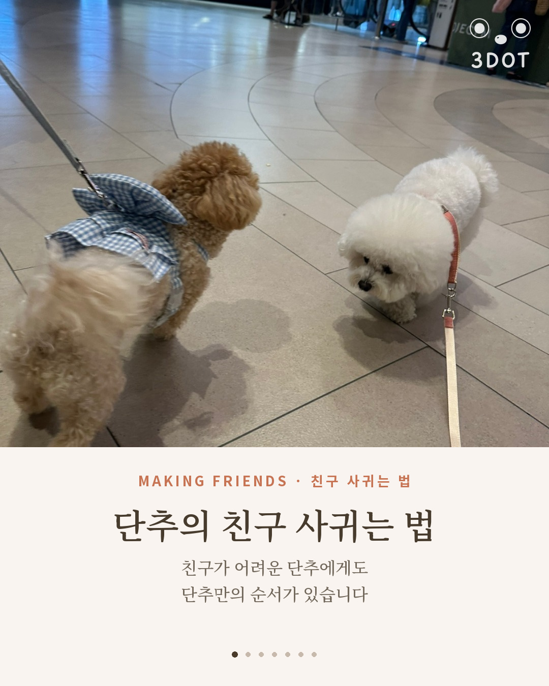 소심한 강아지의 친구 사귀기 5단계 — 단추의 친구도감