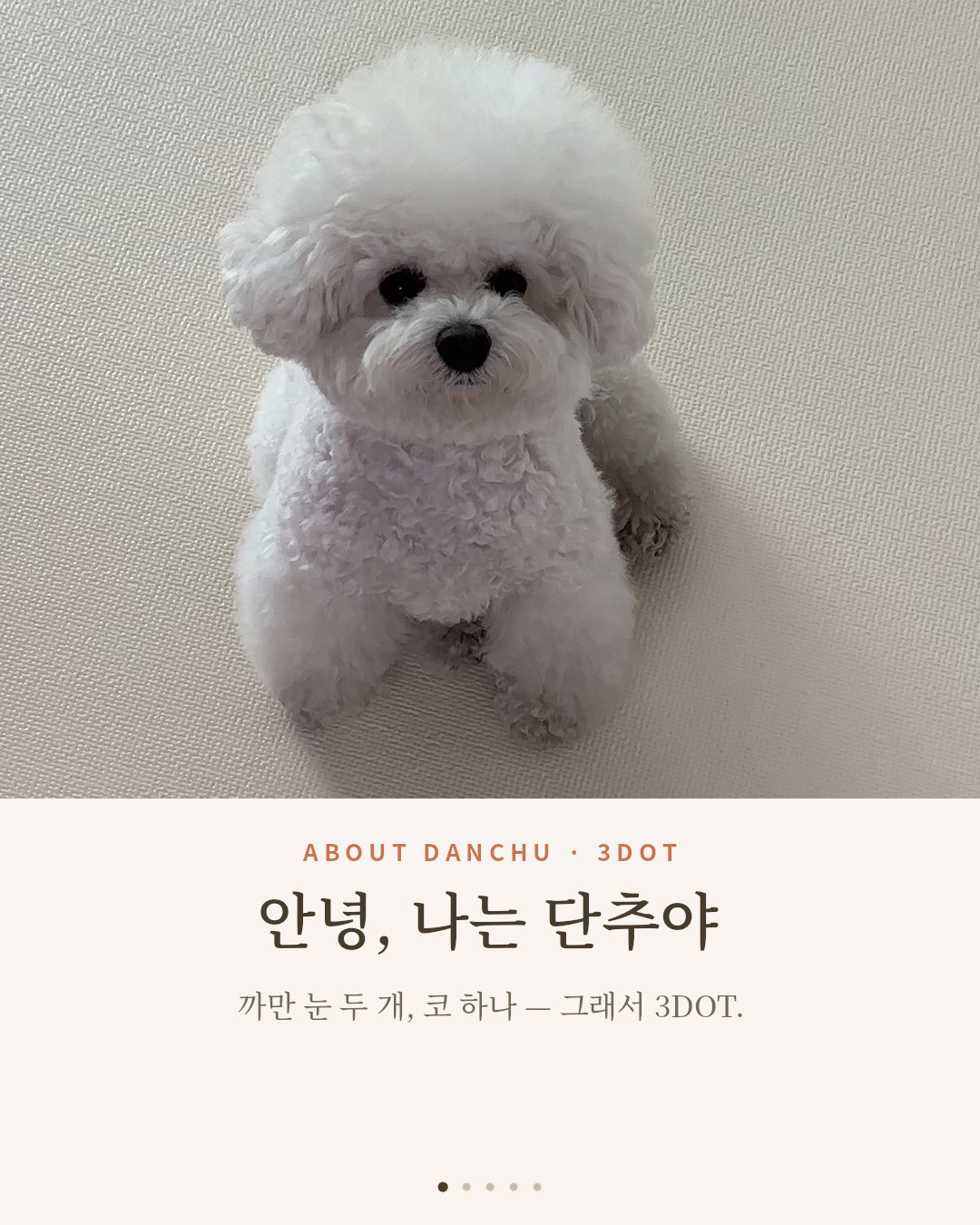 안녕, 나는 단추야 — 비숑 프리제 단추의 공식 자기소개