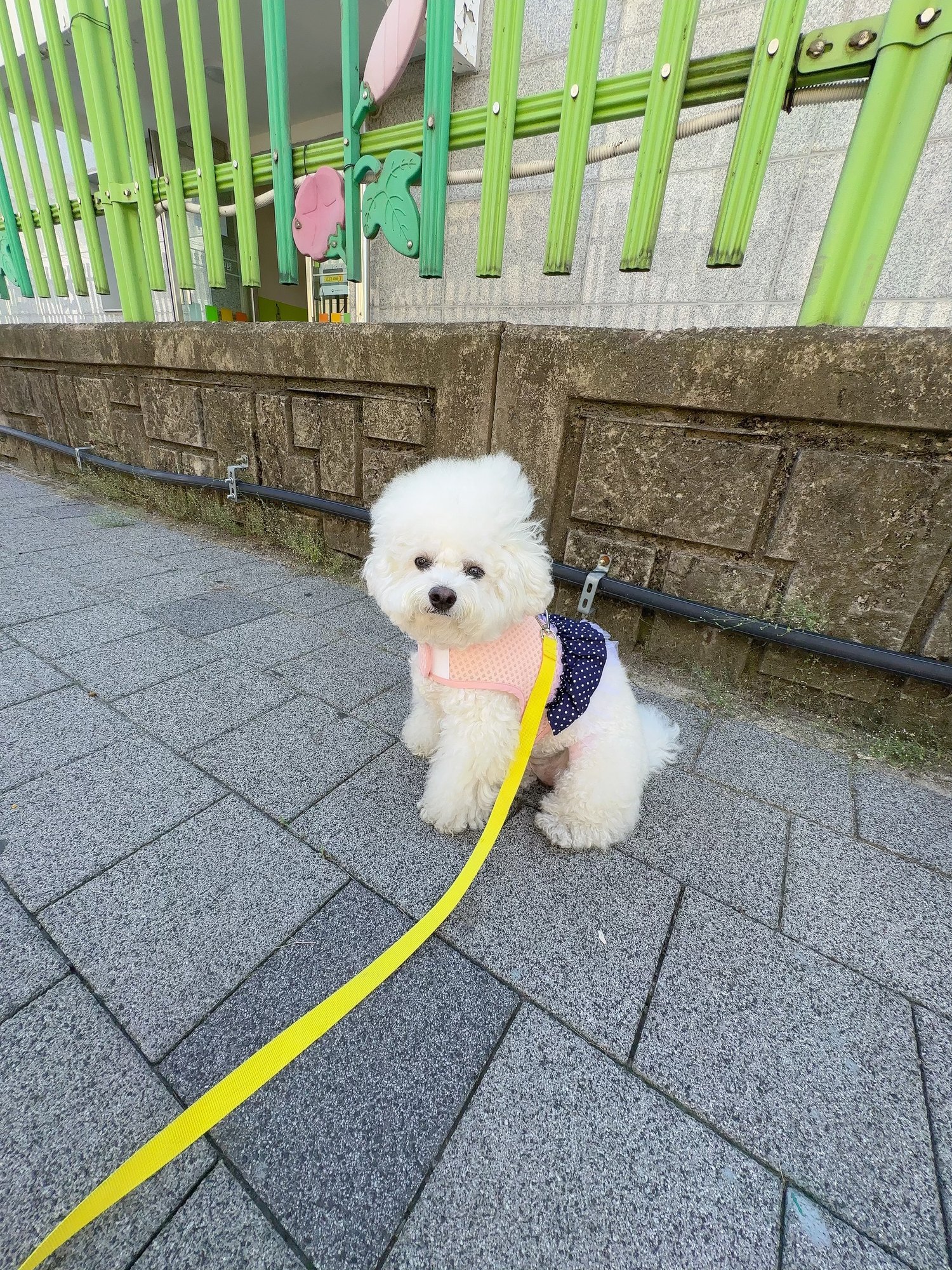 놀이터 울타리 앞에 앉아 있는 단추