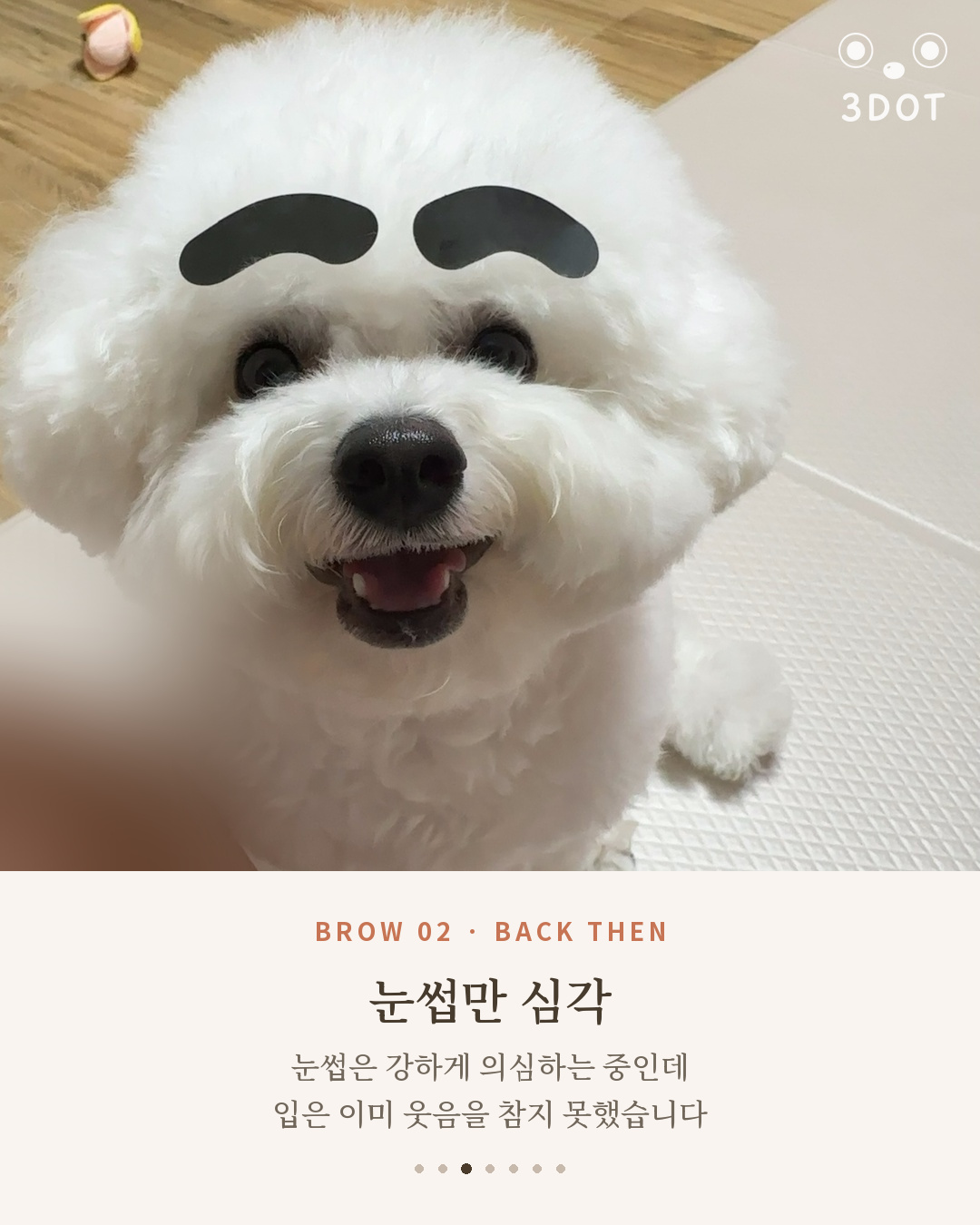 팔자 눈썹 스티커를 붙이고 웃는 아기 비숑