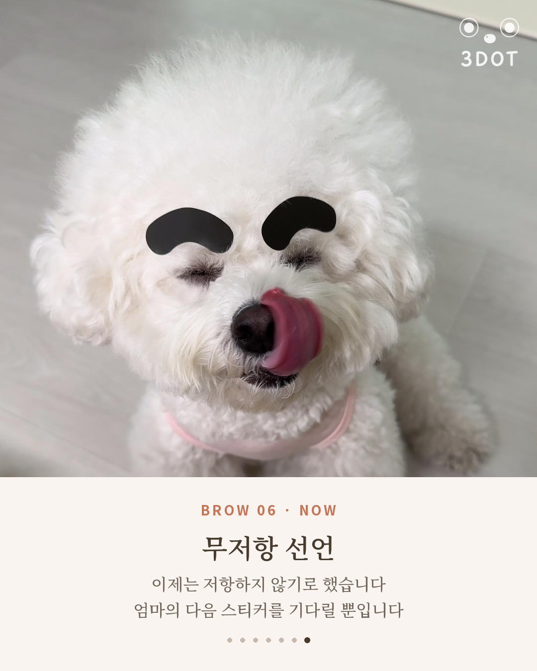 눈썹 스티커를 붙이고 코를 핥는 비숑