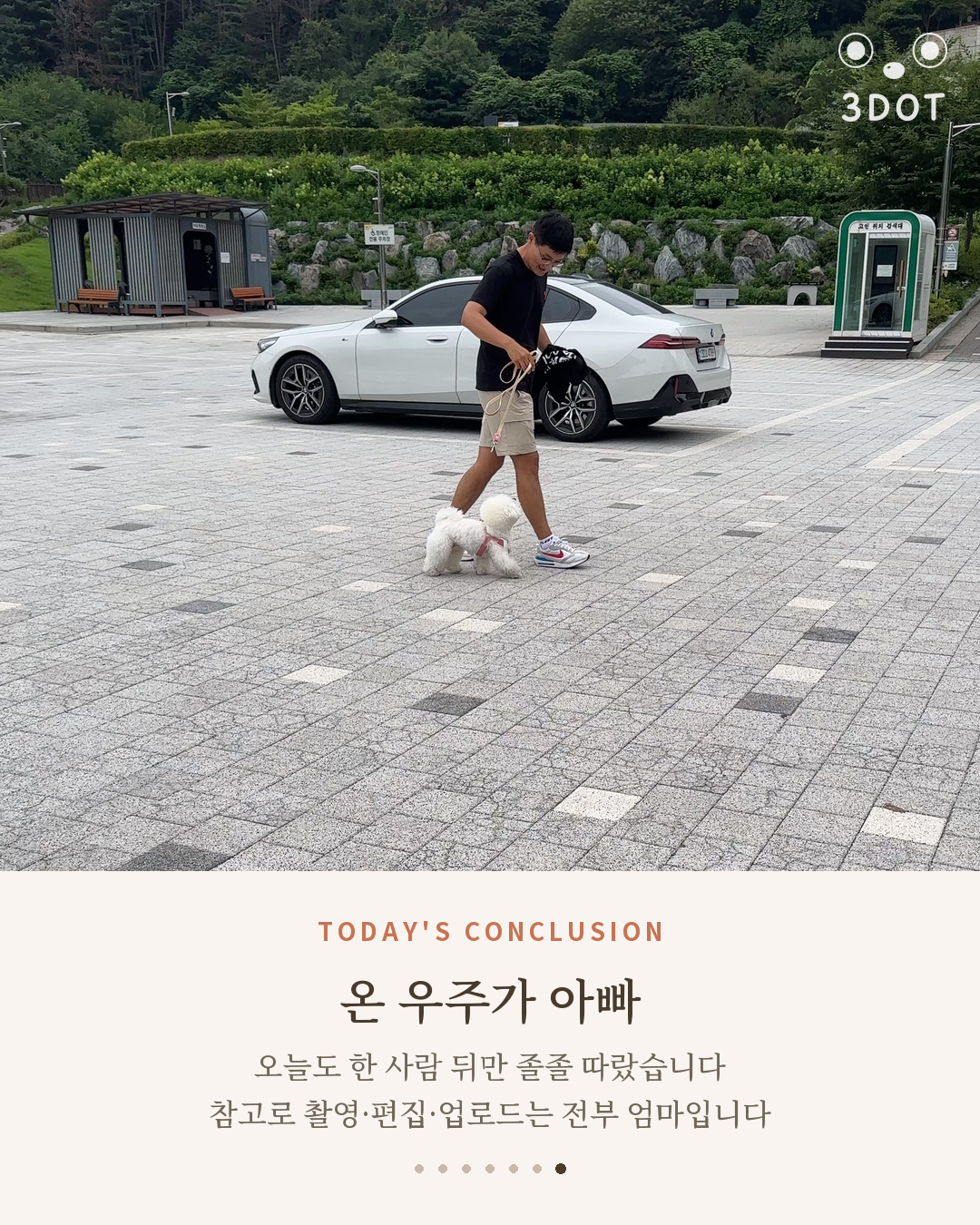 산책길에 아빠 뒤를 졸졸 따라가는 비숑