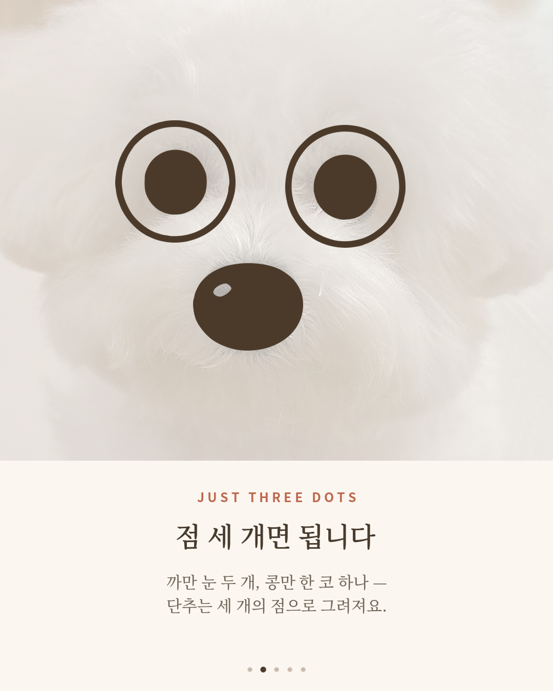 비숑 단추 얼굴 위에 그려진 두 개의 점, 까만 눈