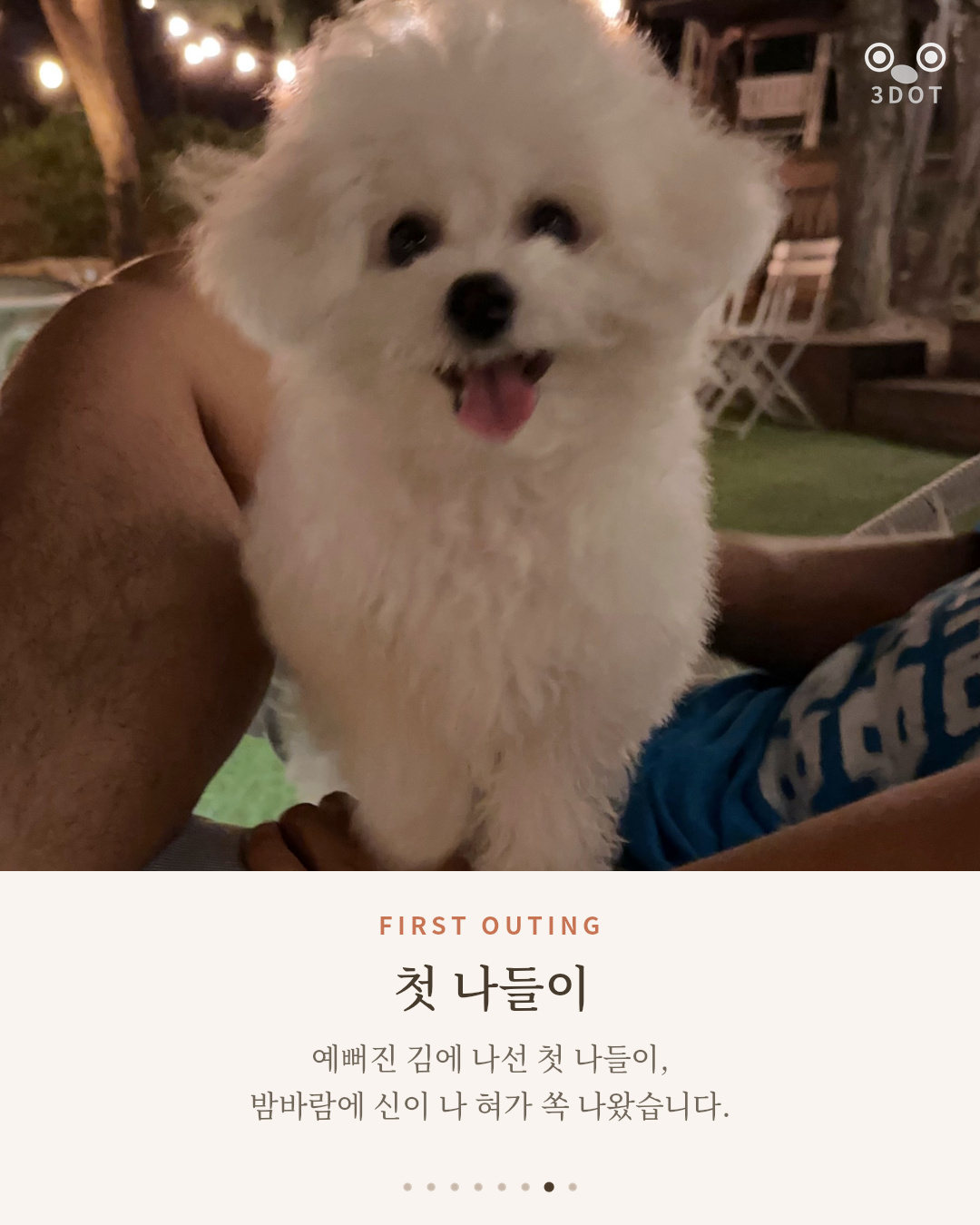 밤 나들이에서 혀를 내밀고 웃는 아기 비숑