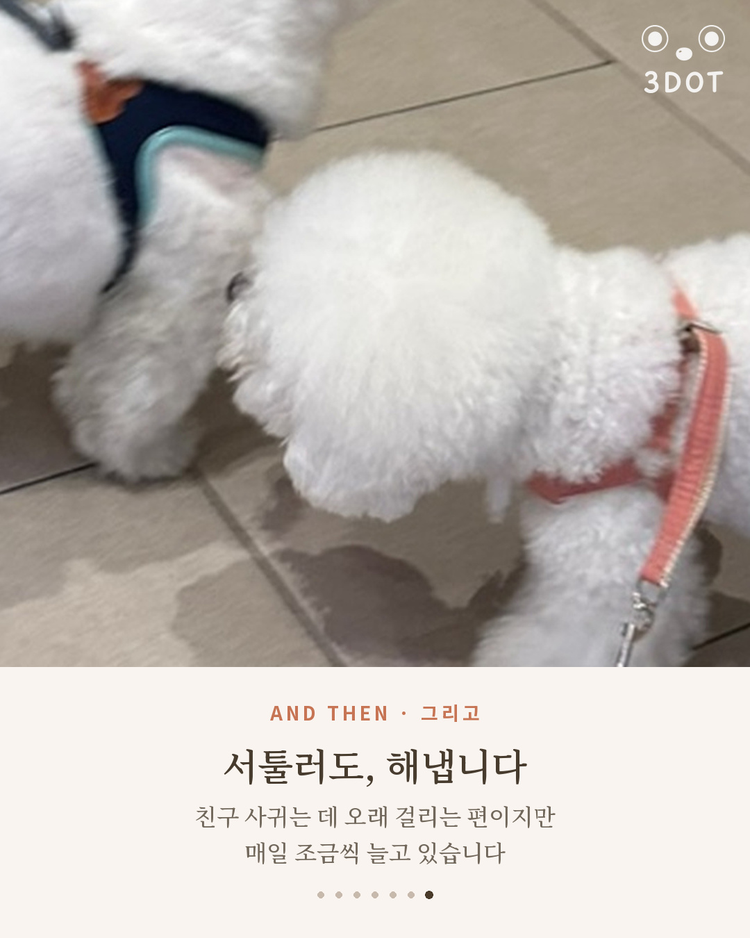 비숑 친구에게 코를 대고 인사하는 단추 엔딩 카드