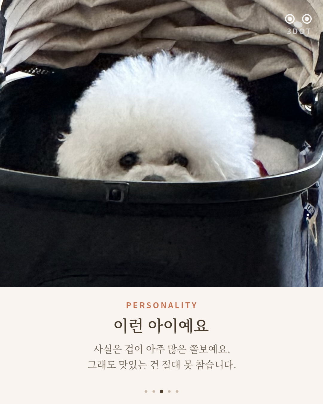 유모차 안에서 눈만 빼꼼 내민 비숑 단추