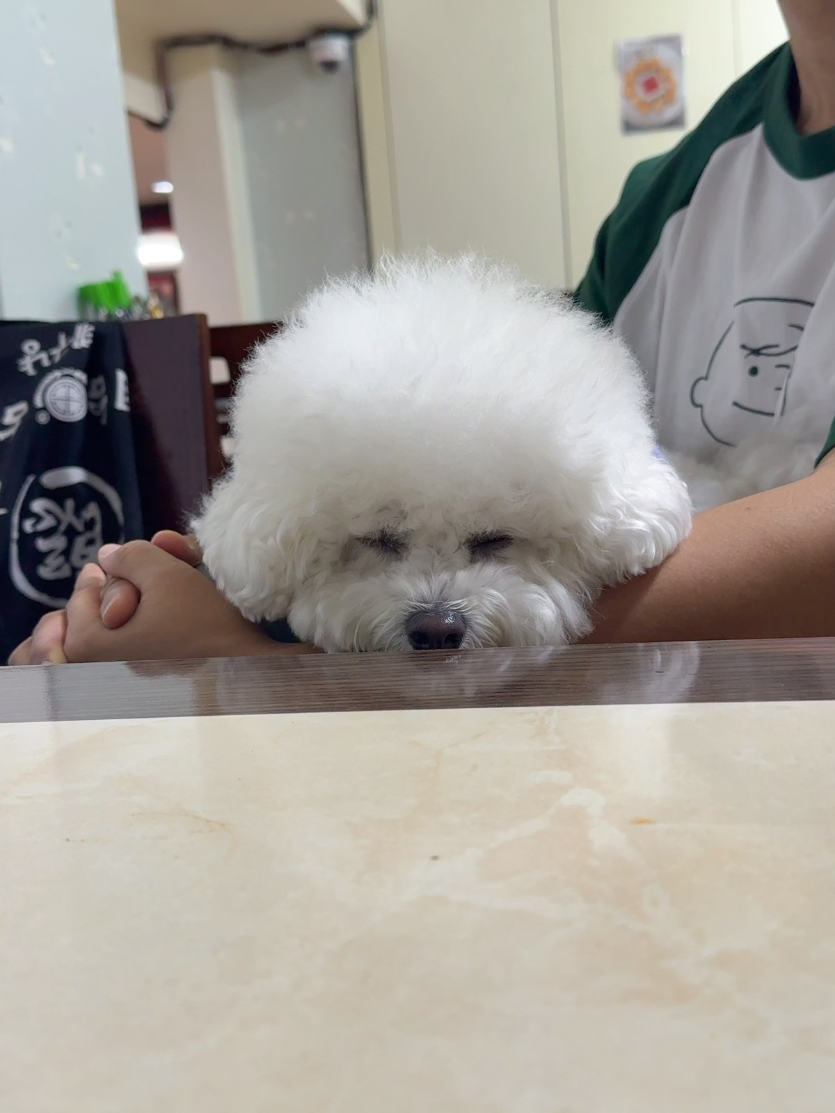 단추 성견
