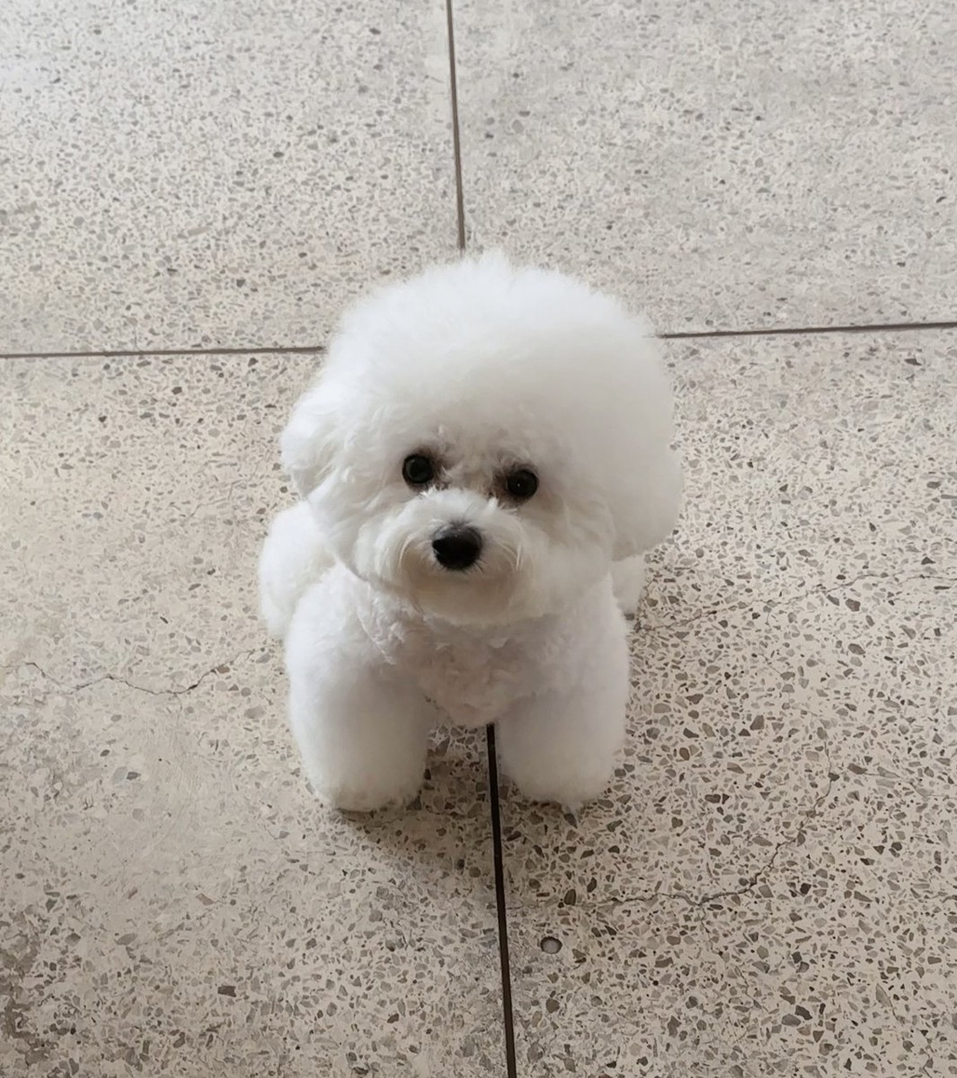 청소년기 단추