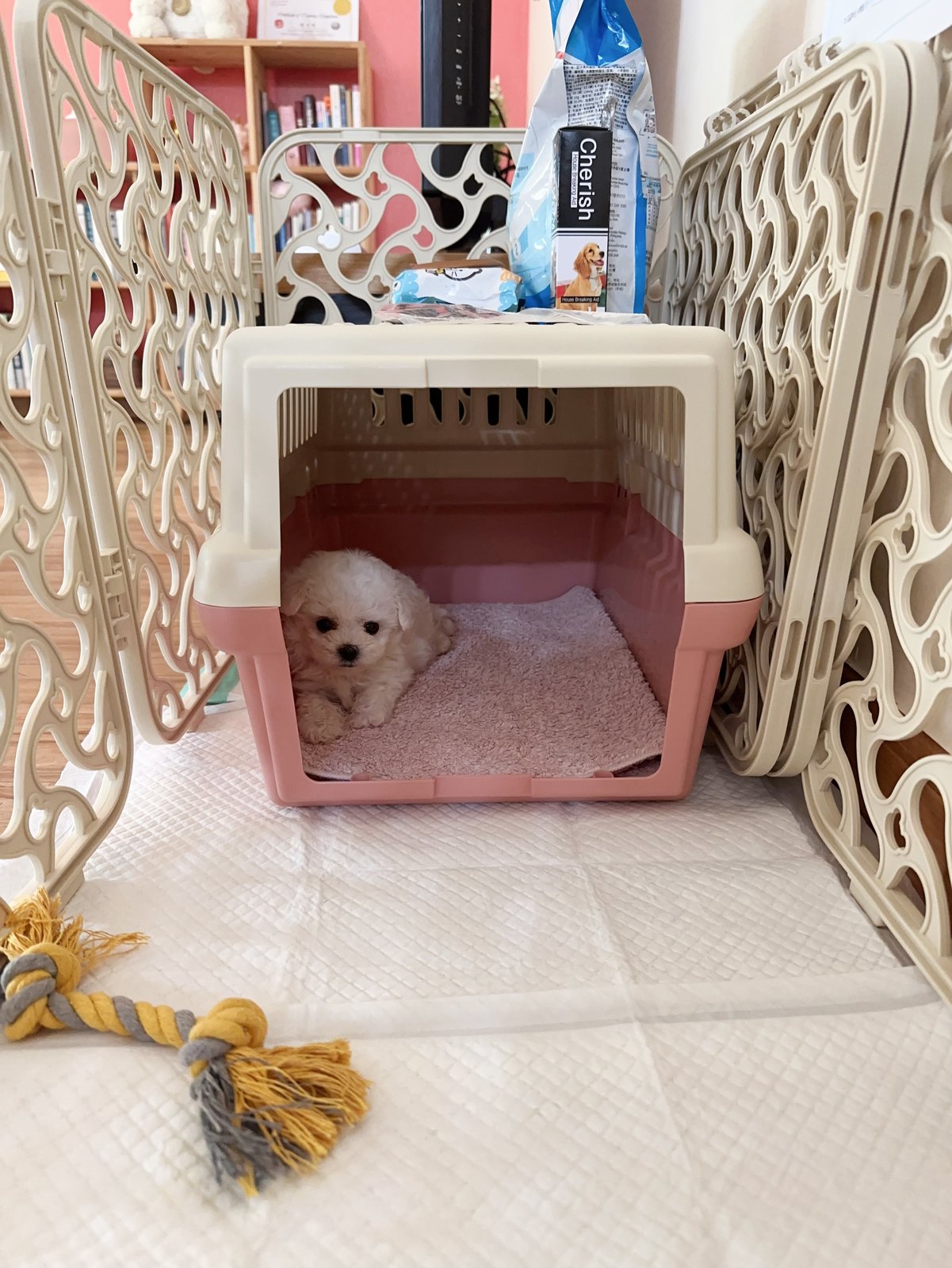 단추 퍼피기