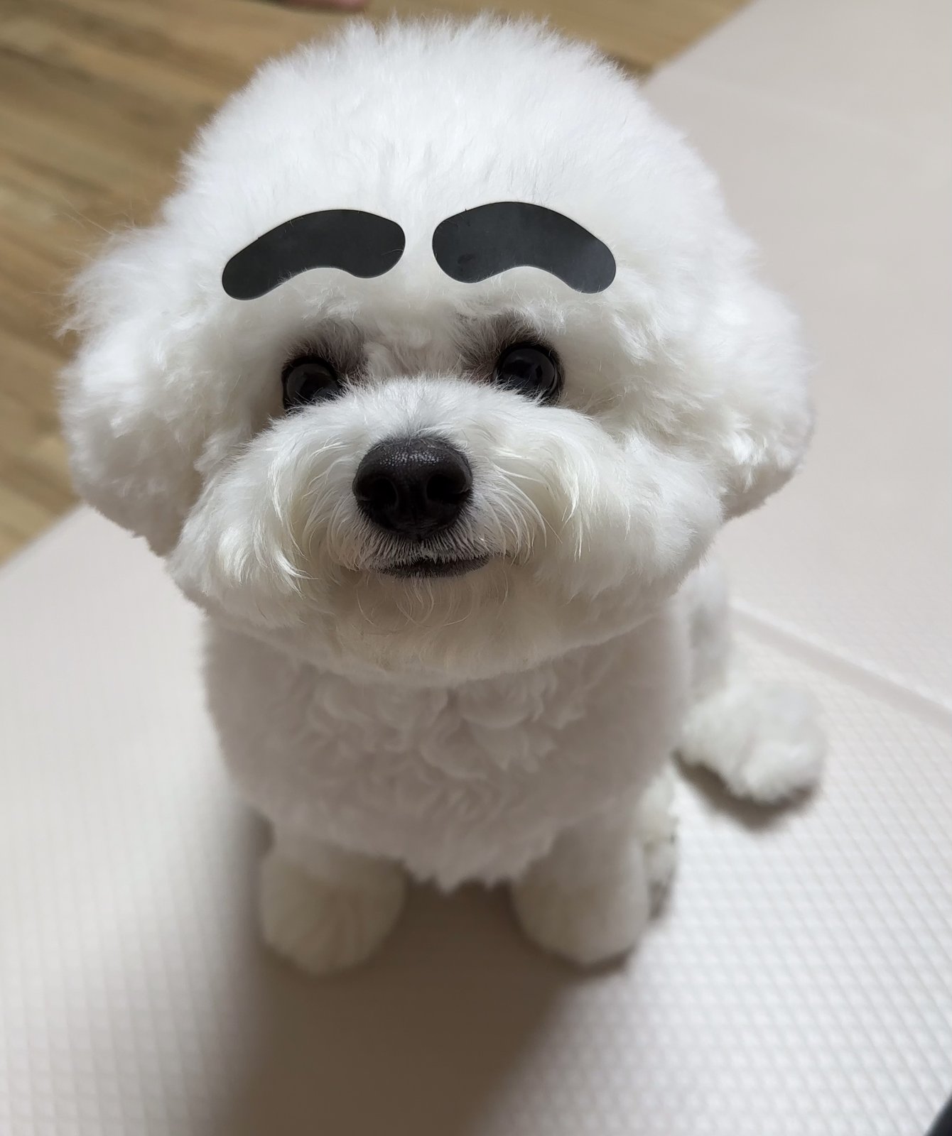 단추 청소년기
