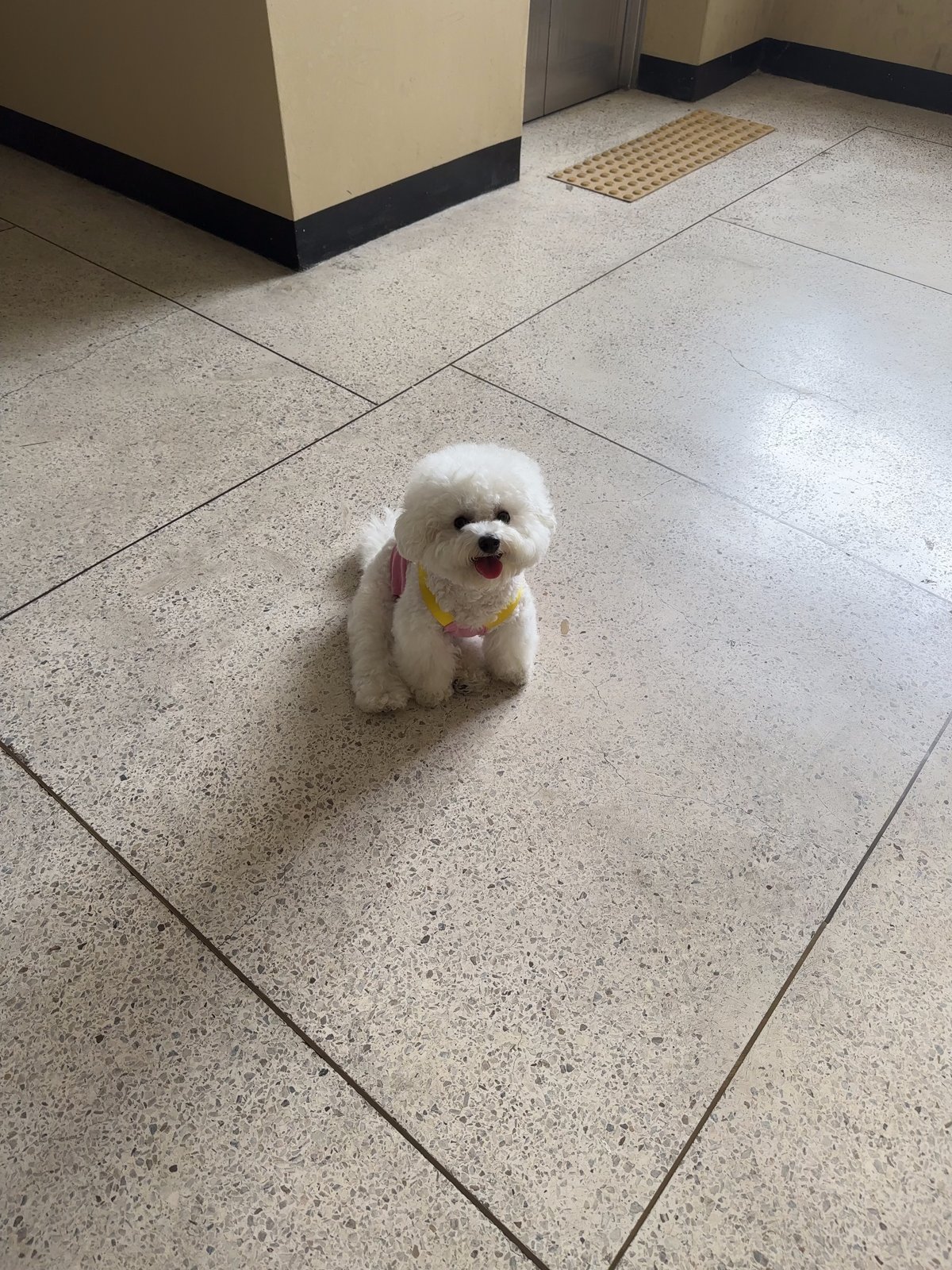 단추 청소년기