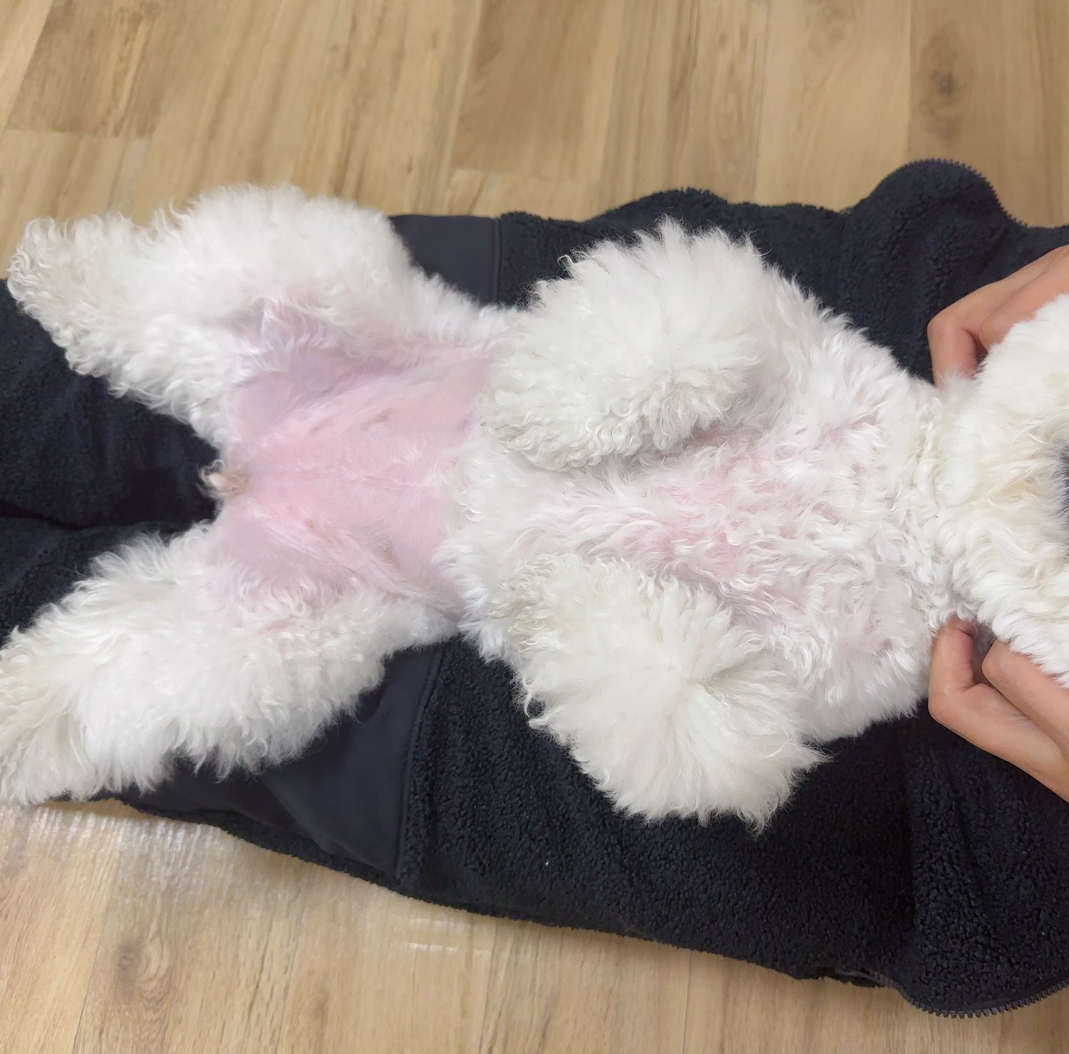 단추 청소년기