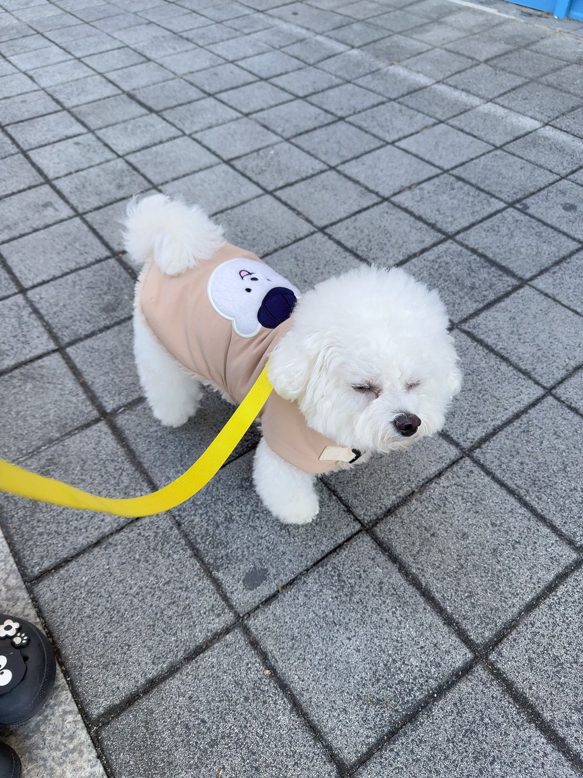 단추 청소년기