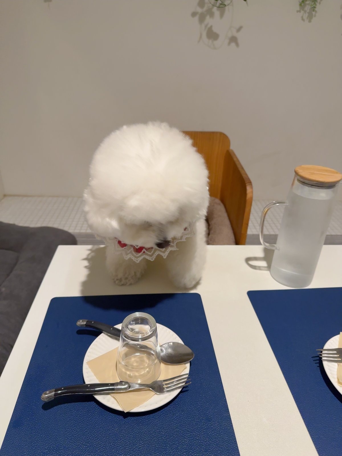 단추 청소년기