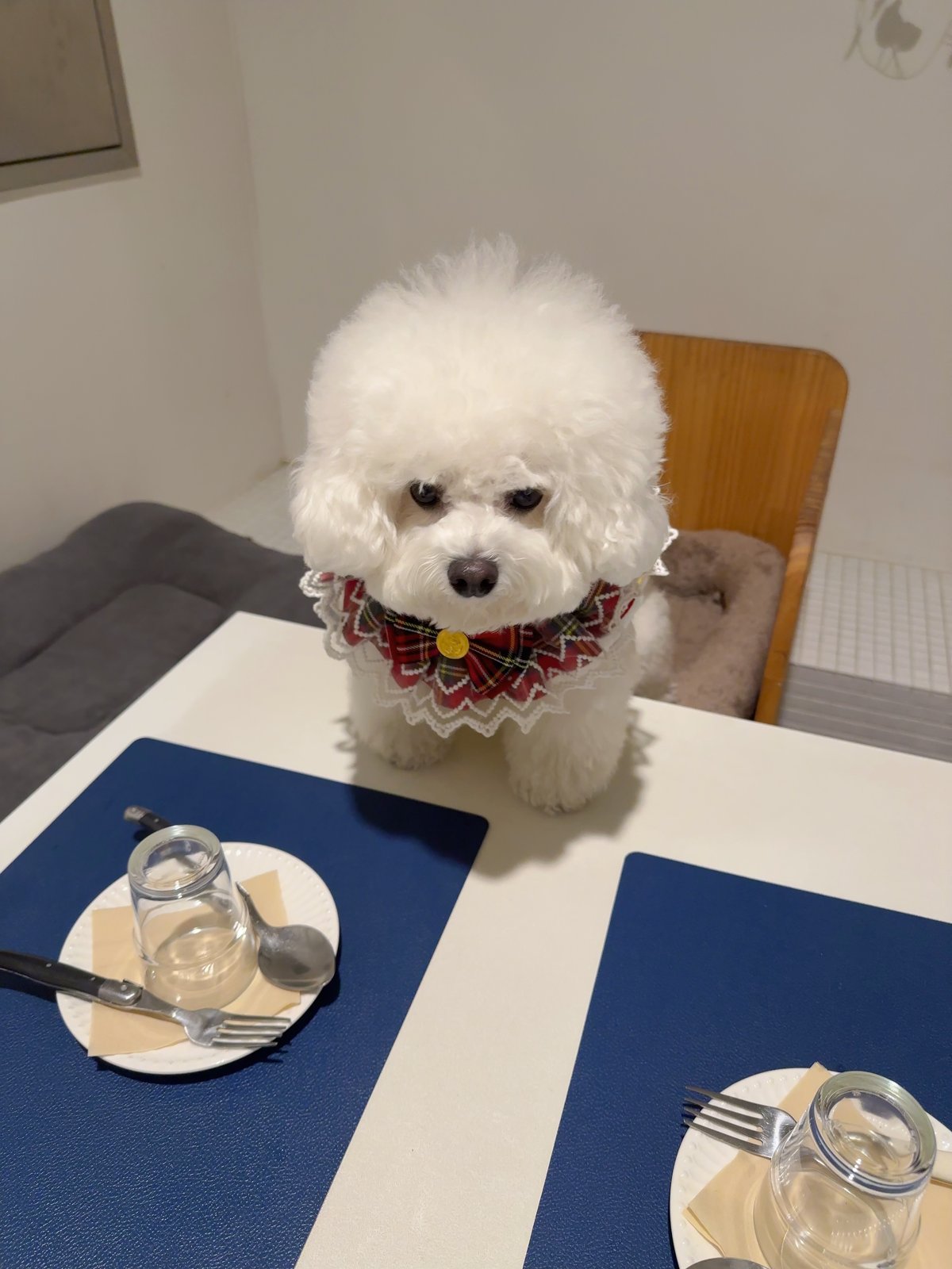 단추 청소년기