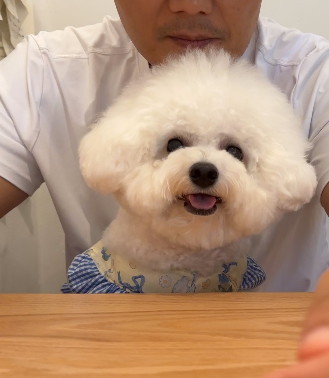 단추 청소년기