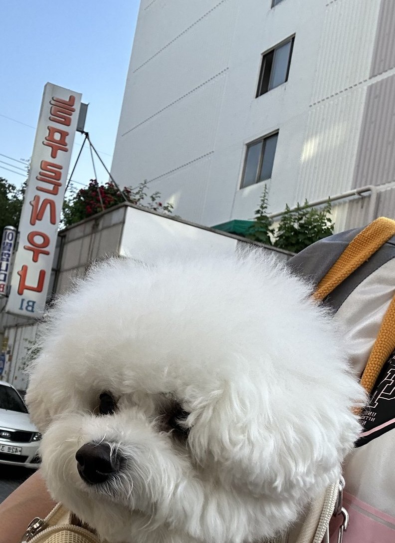 단추 청소년기