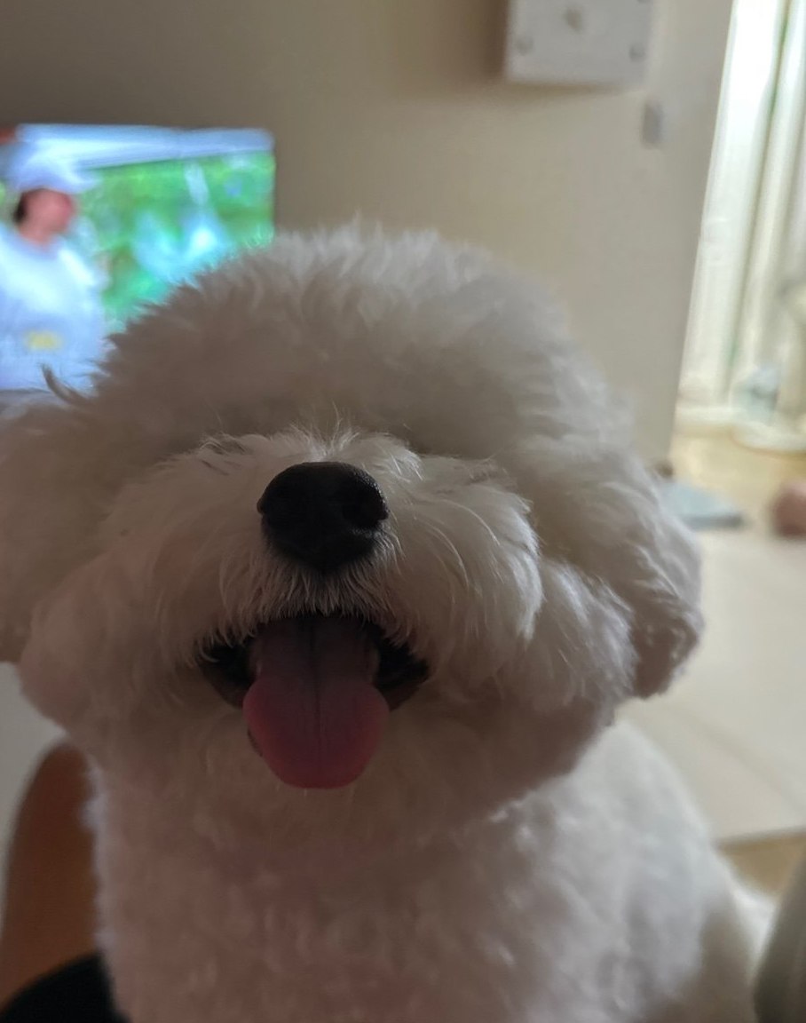 단추 청소년기