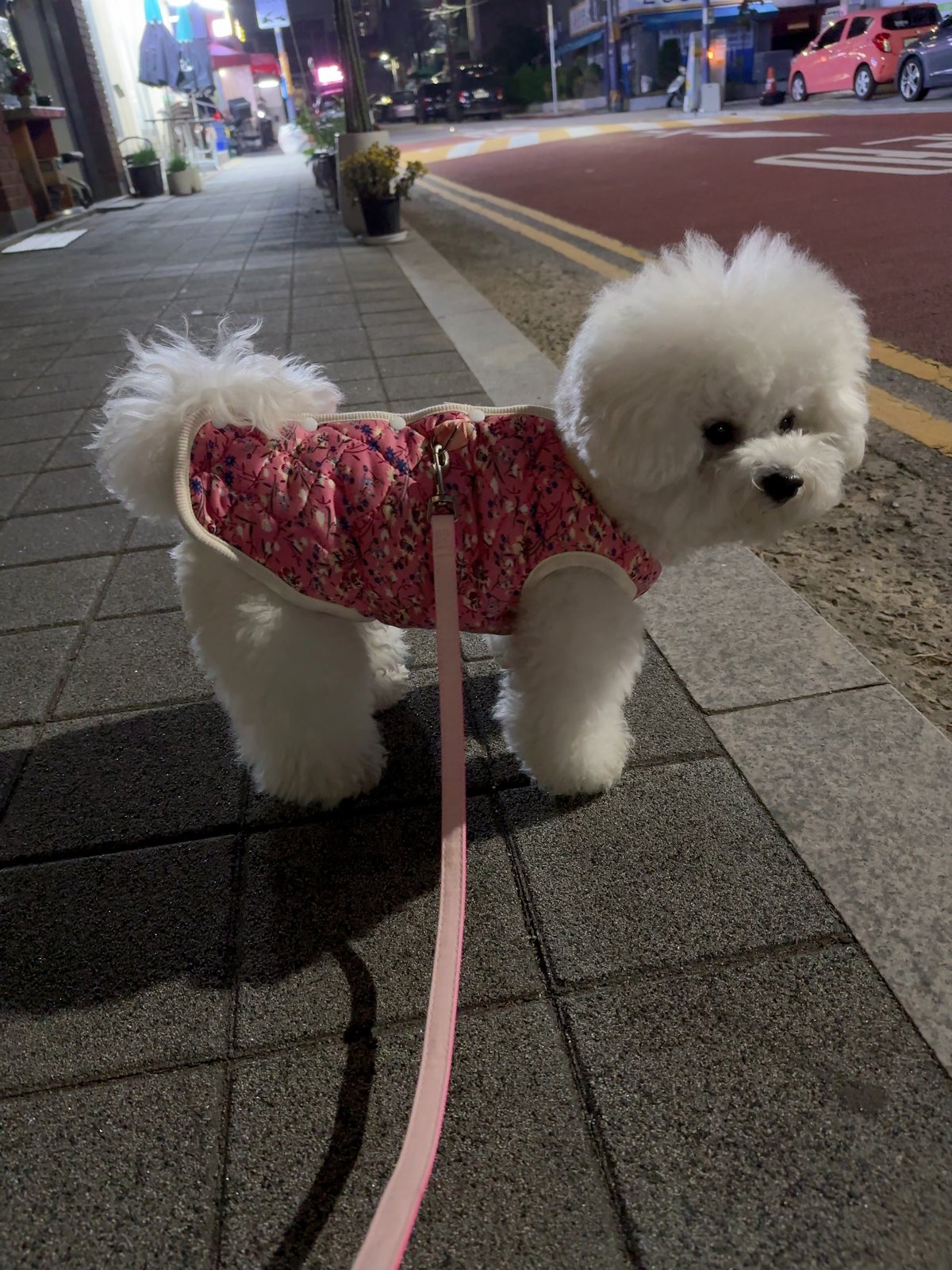단추 청소년기