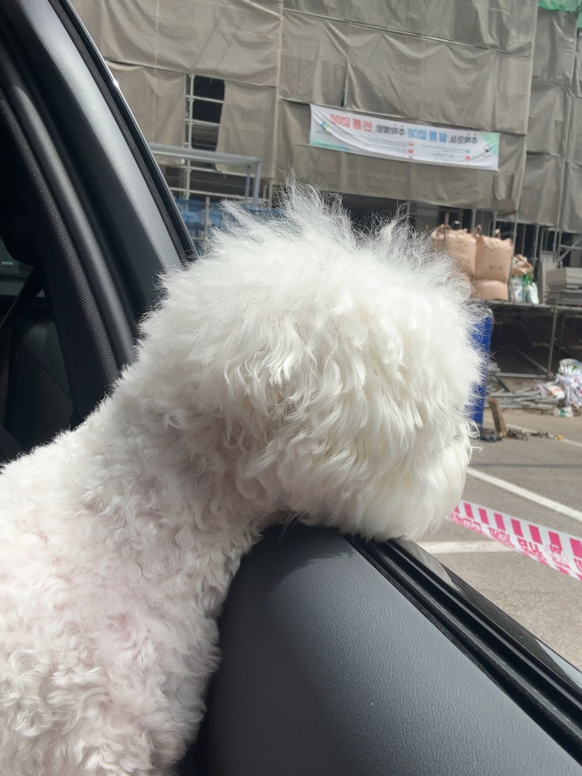 단추 청소년기