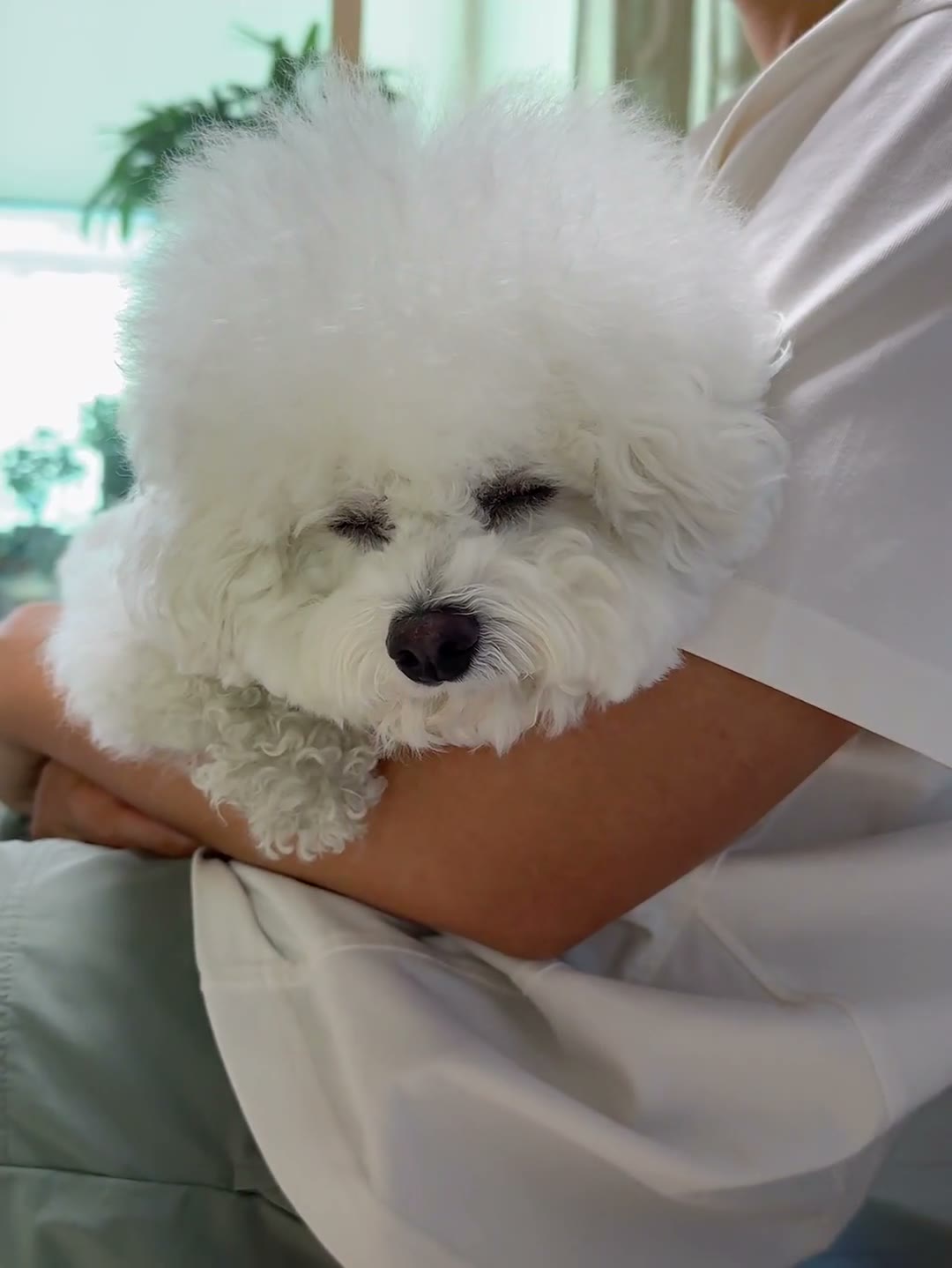 단추 청소년기