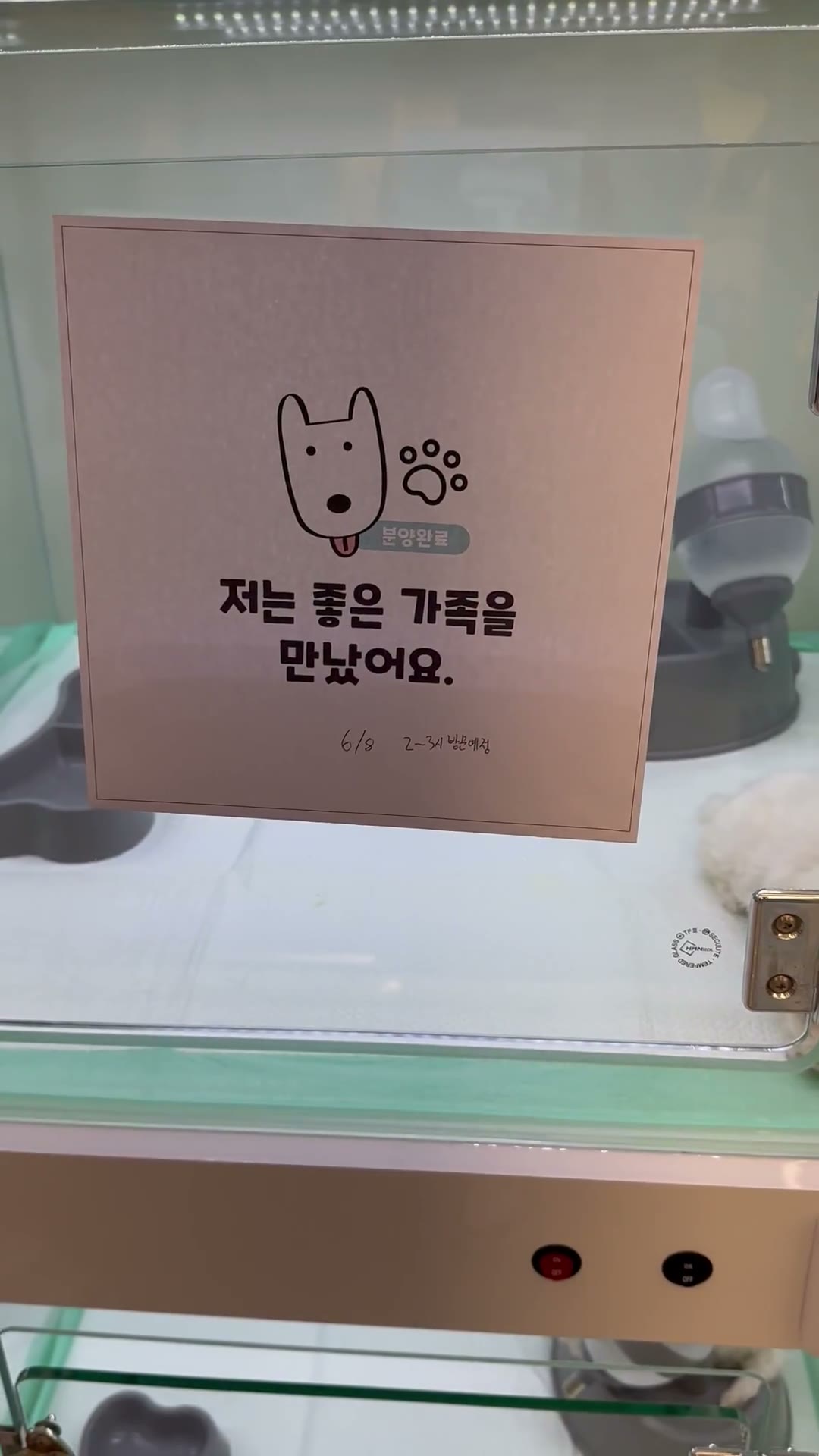 단추 퍼피기